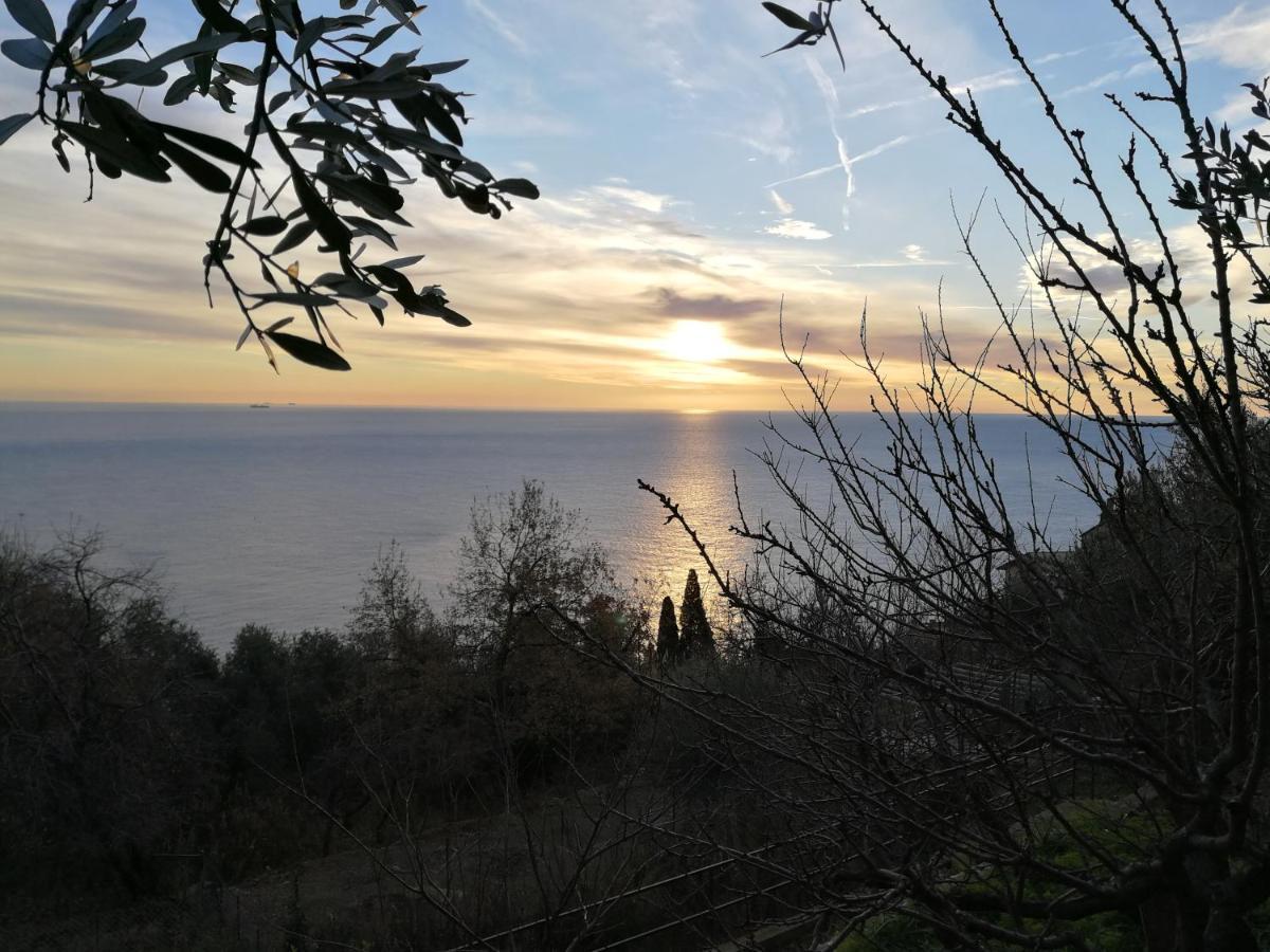 Villa Gio - Terrazza Nel Blu Bergeggi Kültér fotó
